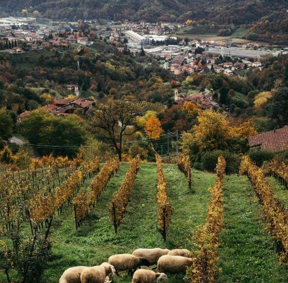 酒店 Polisena L Altro Agriturismo Veg