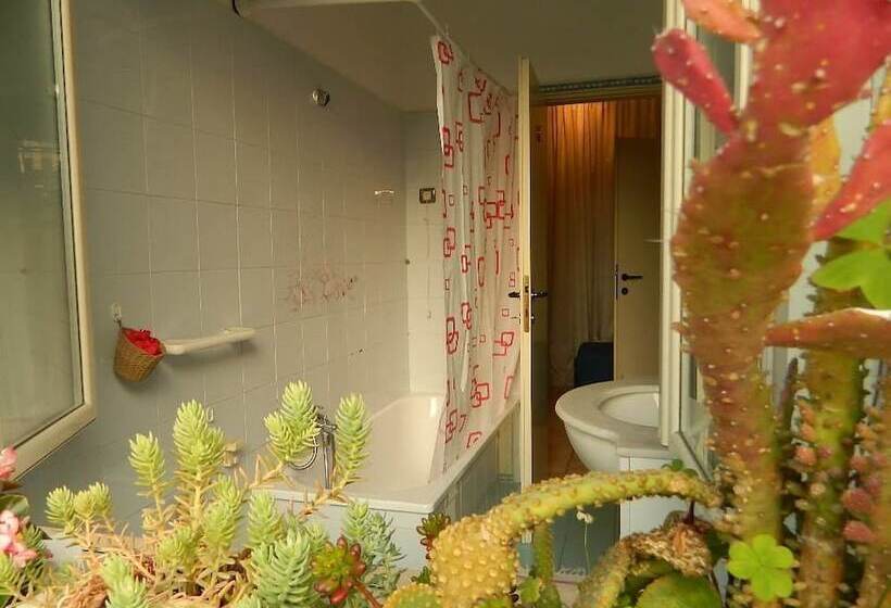 بنسيون Guest House Bed And Roses