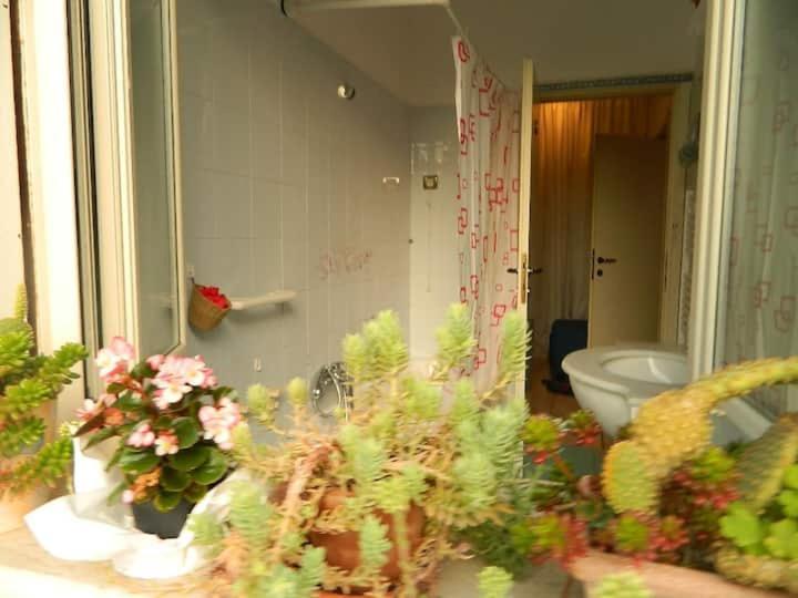 بنسيون Guest House Bed And Roses