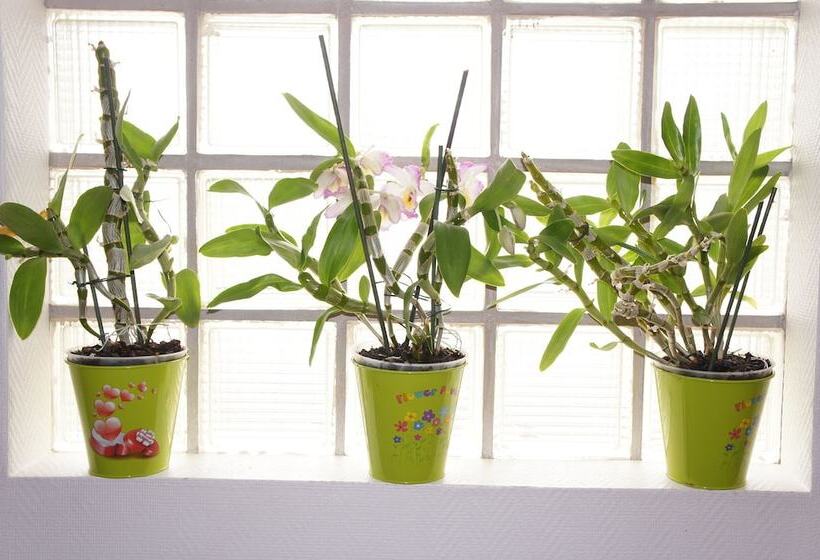 בית מלון כפרי De La Place