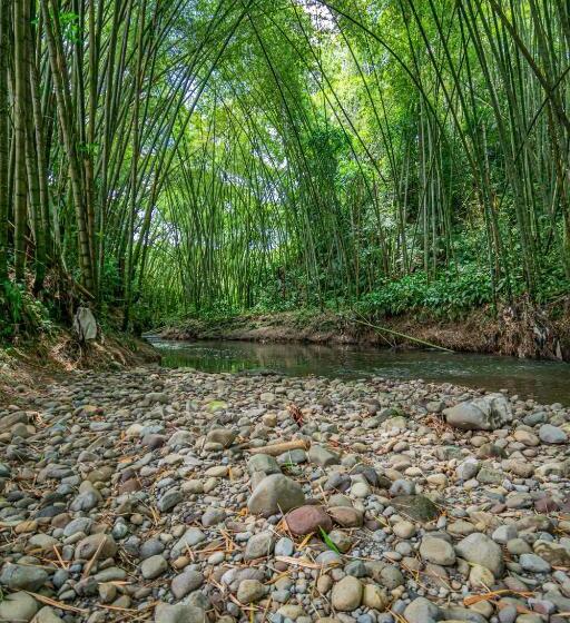 Aldeas Hoteles Resort