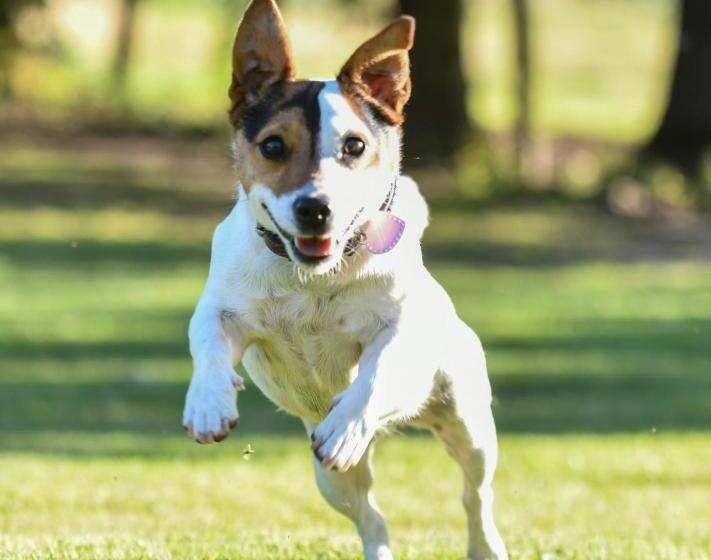 بنسيون La Maison D Inès And Ugolin & Spa