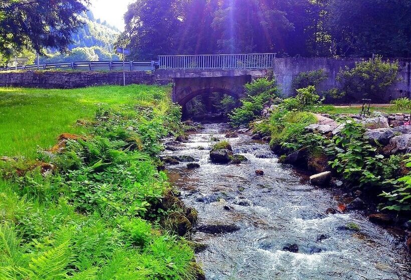 הוסטל Auberge Du Lilsbach