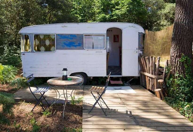 ベッドアンドブレックファースト Glamping Insolite Dolly Waikiki