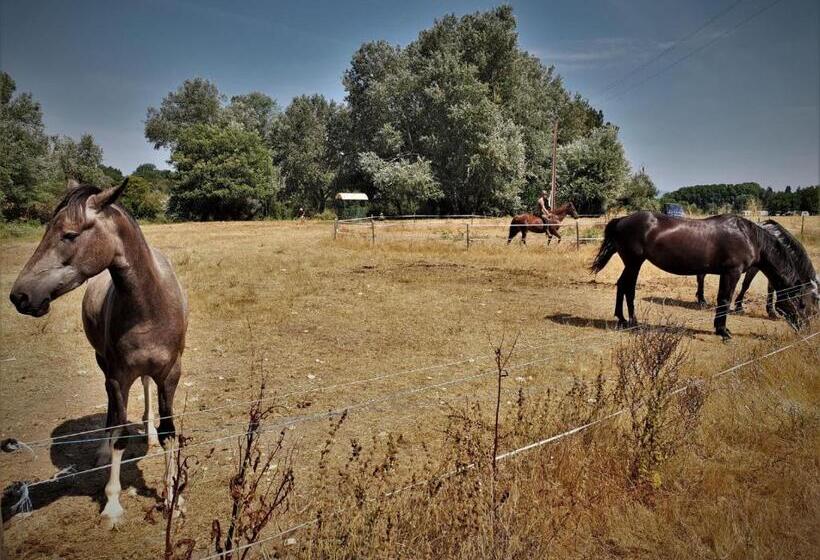 בית מלון כפרי Ferme Equestre Les Coccinelles