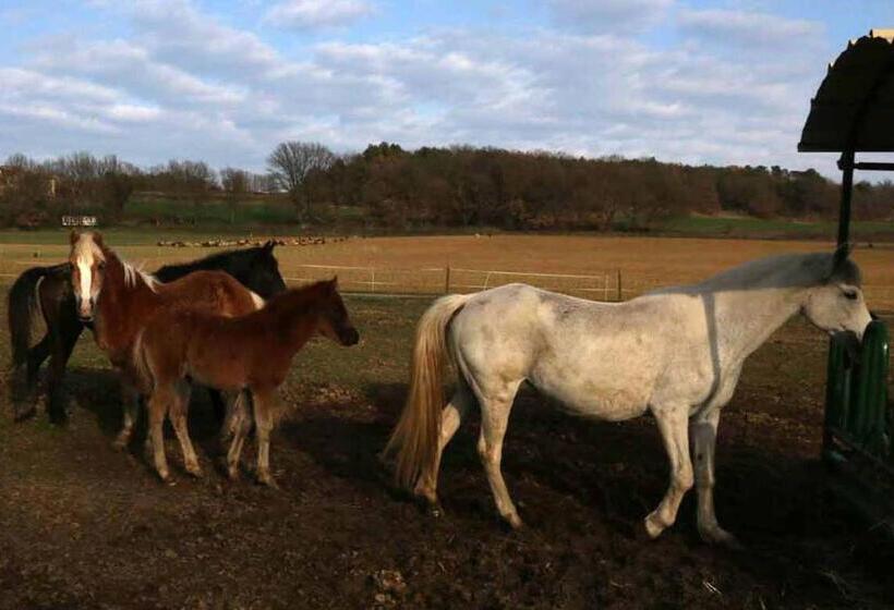 בית מלון כפרי Ferme Equestre Les Coccinelles