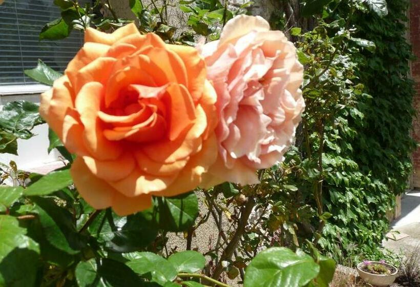 ペンション Chateau La Bouriette