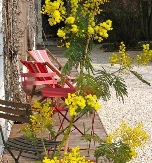 بنسيون L Annexe   Maison D Hôtes