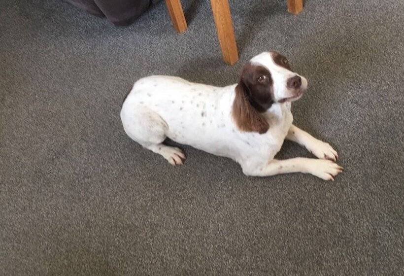 민박 West View Lodge