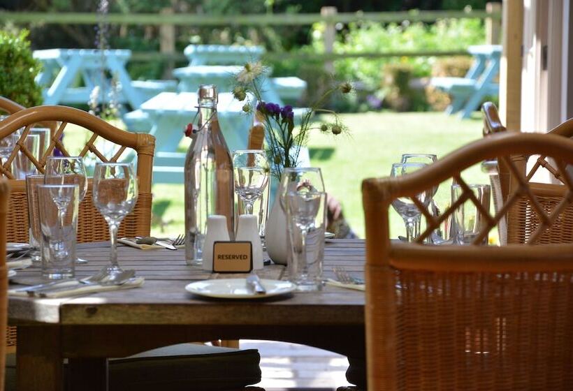旅馆 The Dolphin Inn