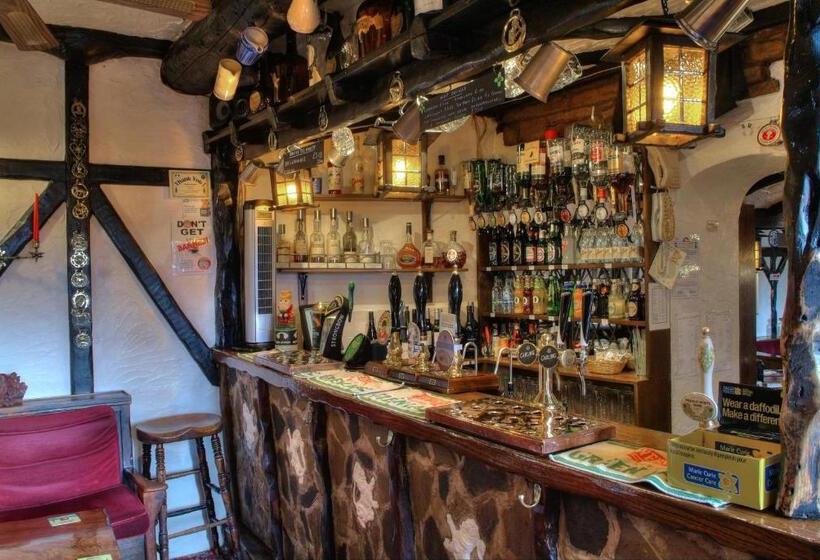 旅馆 The Old White Lion