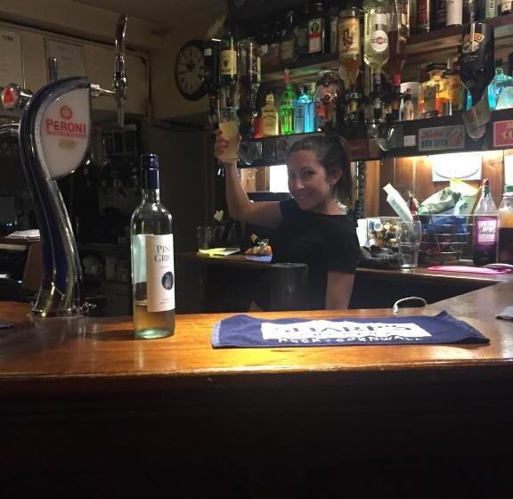 호스텔 The Radnor Arms