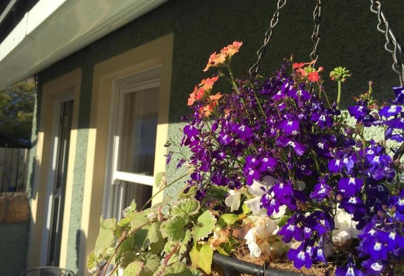 بنسيون Irvine Bay