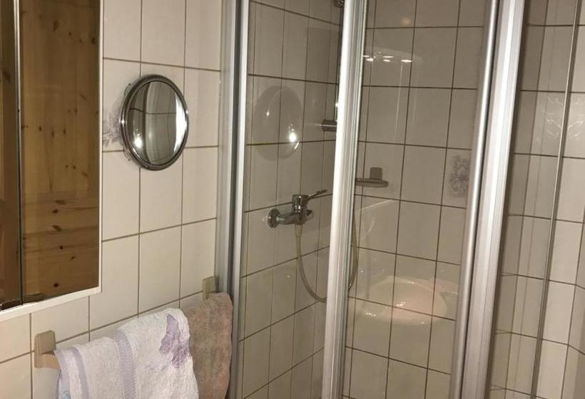 בית מלון כפרי Fetzenhof