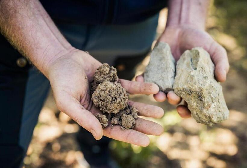 ユースホステル Weingut Und Gästehaus Apel