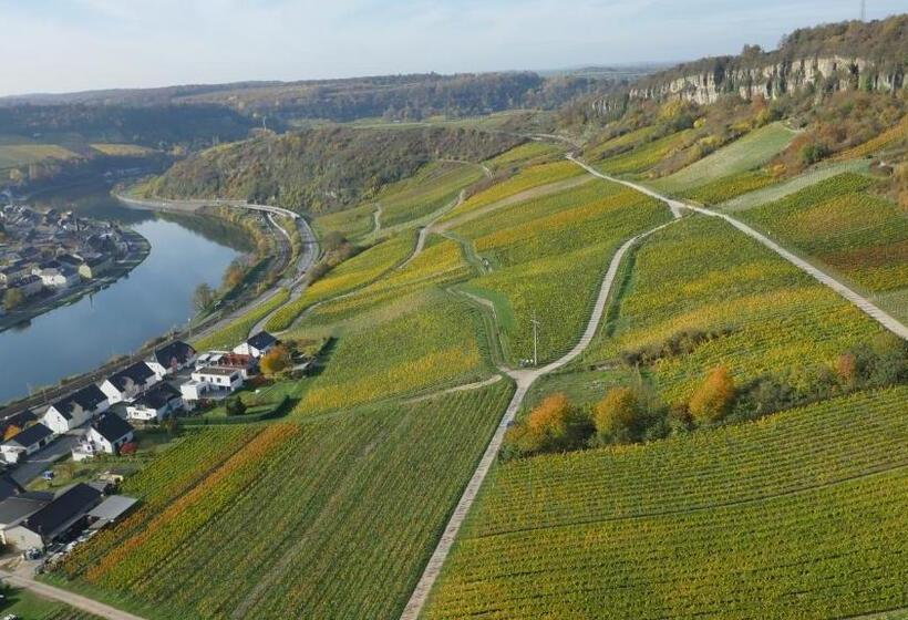 ユースホステル Weingut Und Gästehaus Apel