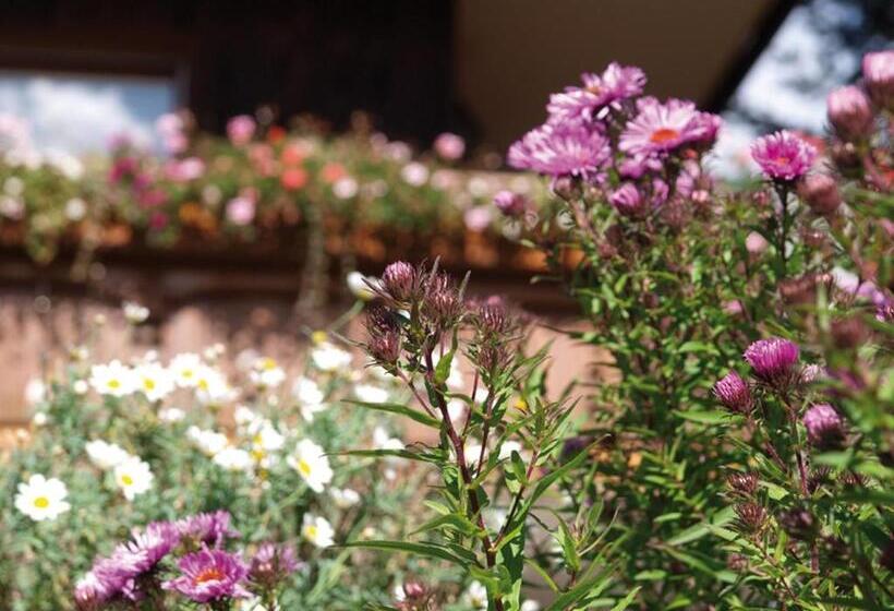 Пансион Haus Bernhardt Fromm