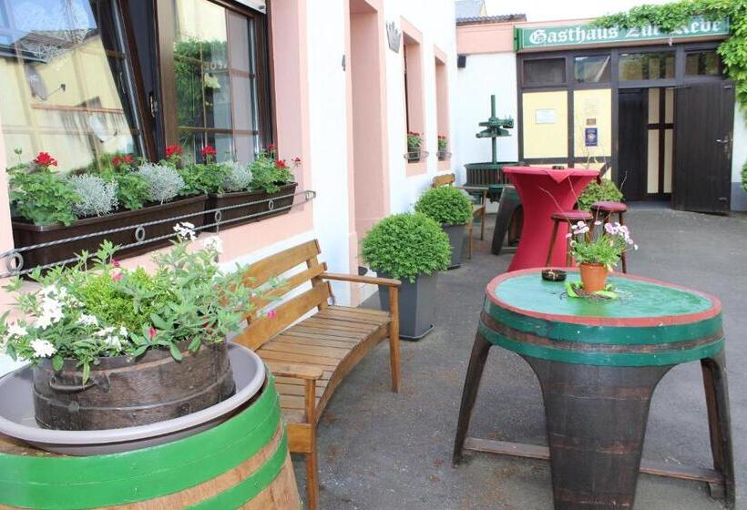 호스텔 Gasthaus Zur Rebe