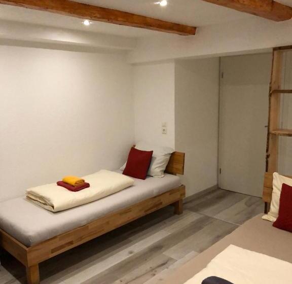 Albergue Dionysos Traube