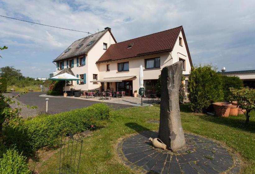 旅馆 Landhaus Balkhausen