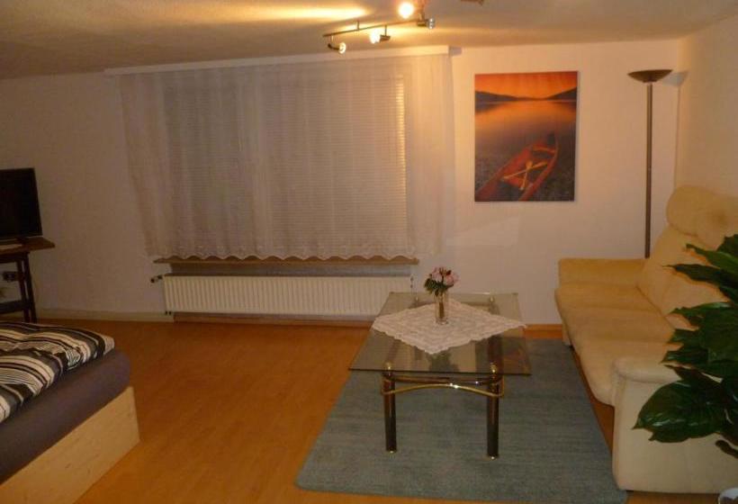 بنسيون Guest House Schneider