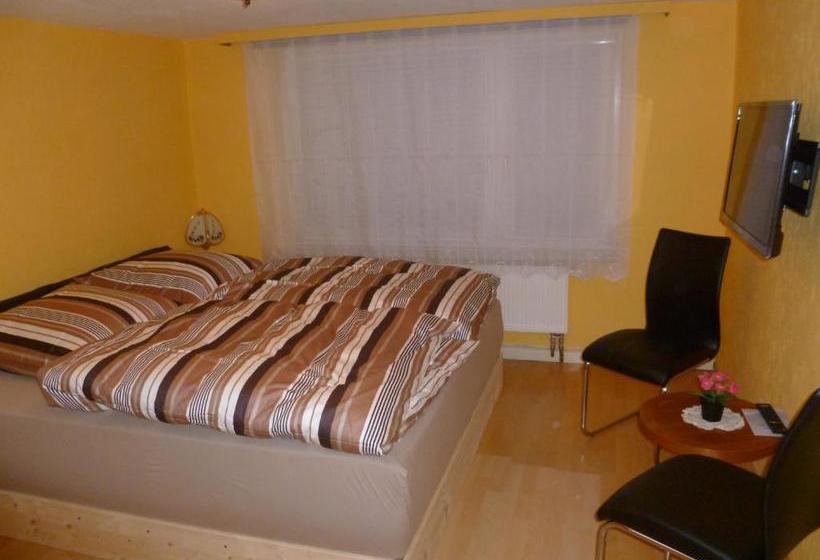 بنسيون Guest House Schneider