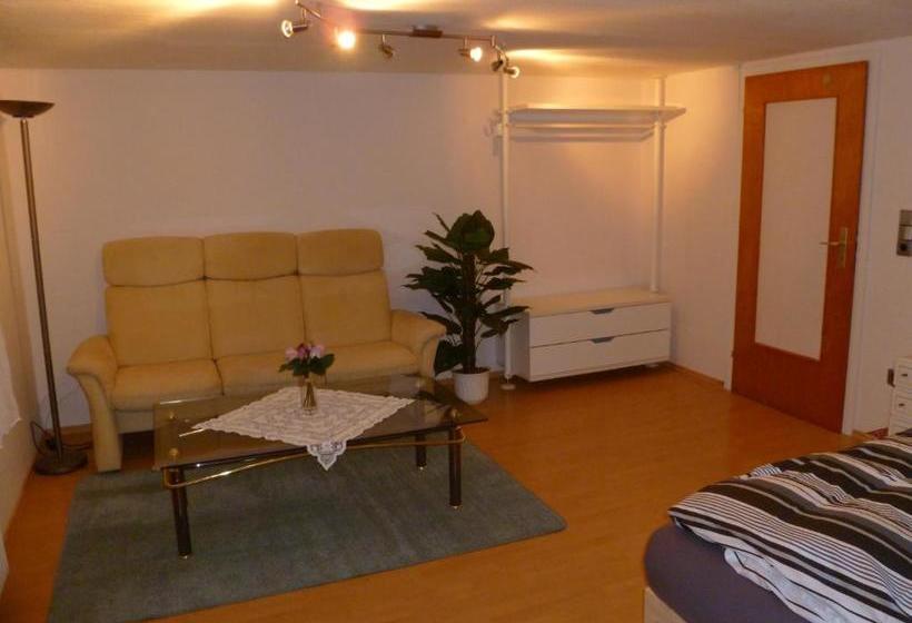 بنسيون Guest House Schneider