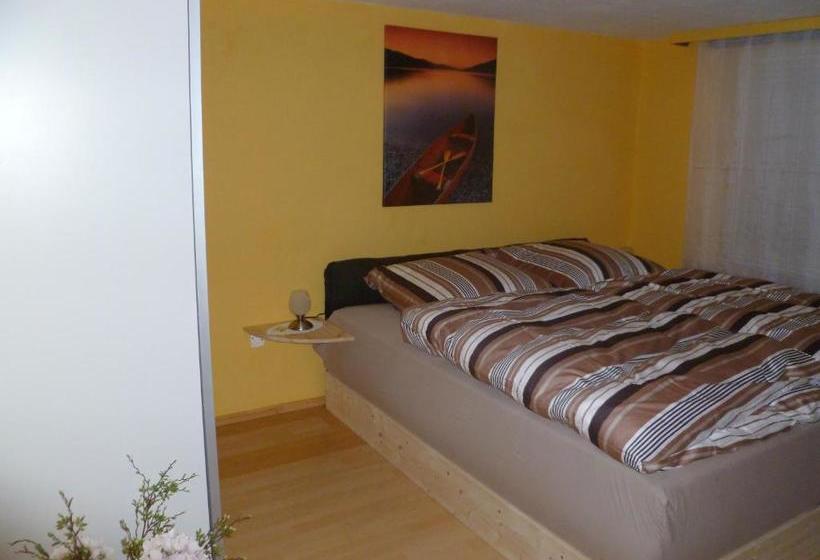 بنسيون Guest House Schneider