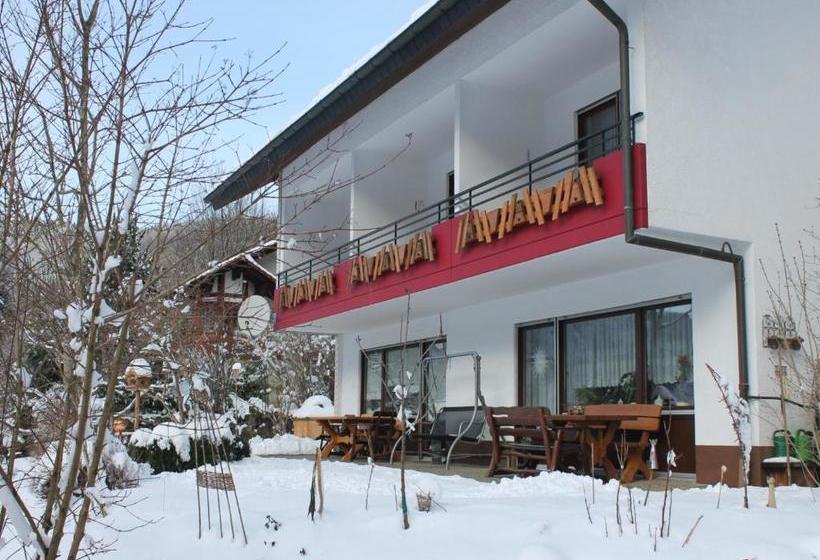 Пансион Haus Traudel Matt