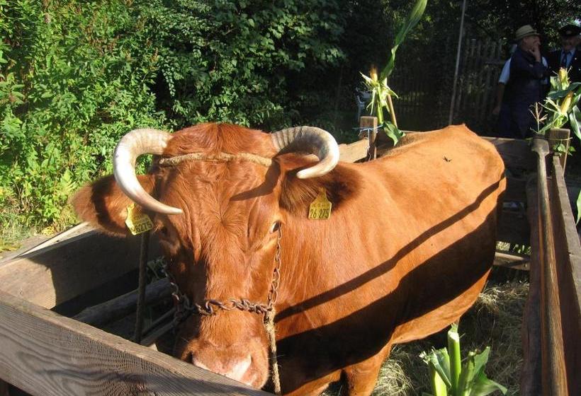 Spreewald Pension Am Spreeschlößchen