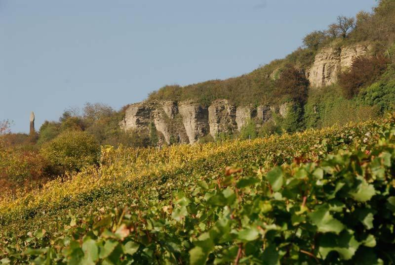 펜션 Gästehaus Und Weingut Bernd Frieden
