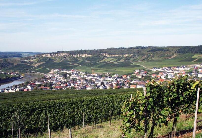 펜션 Gästehaus Und Weingut Bernd Frieden