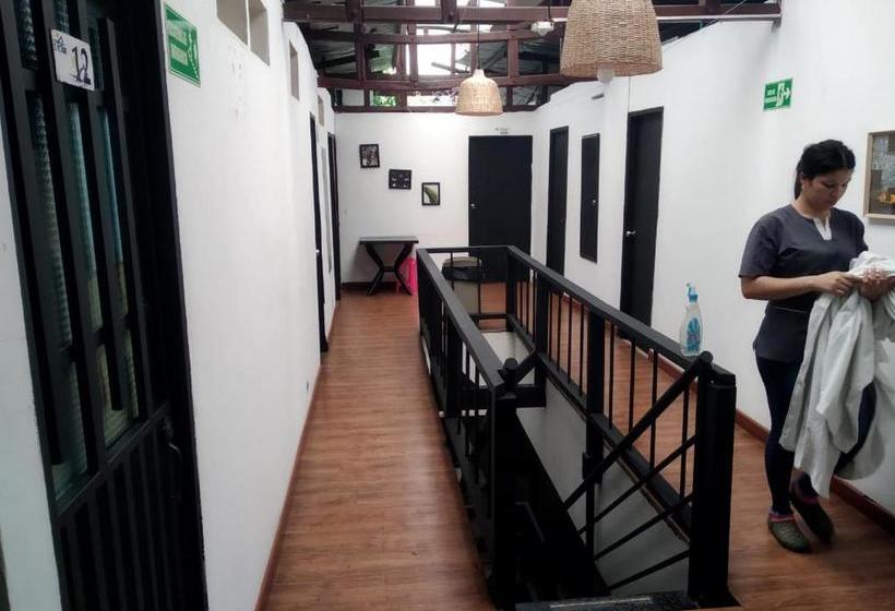 پانسیون Hostal El Mohan