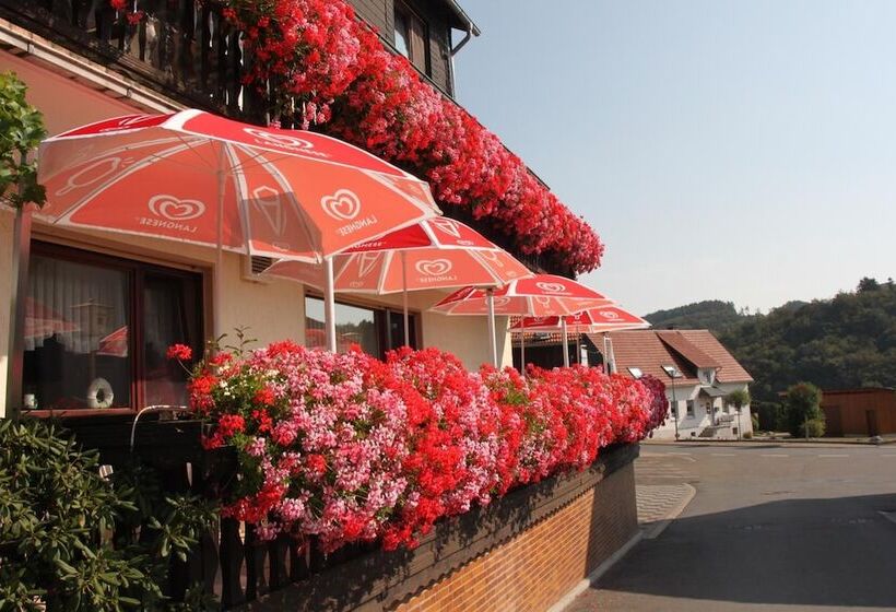 پانسیون Landgasthof Hotel Sauer