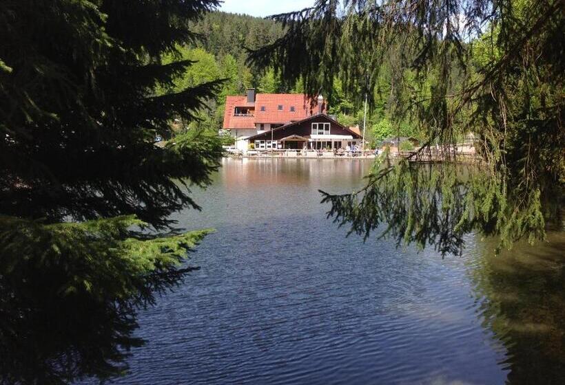 ペンション Self Check In Ferienwohnungen & Apartments Am Bergsee
