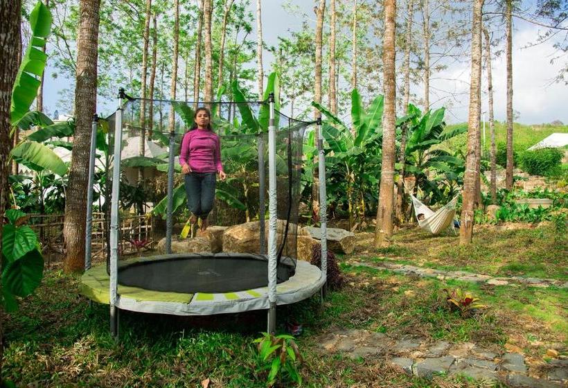 Wow Bison Woods Resort Yercaud