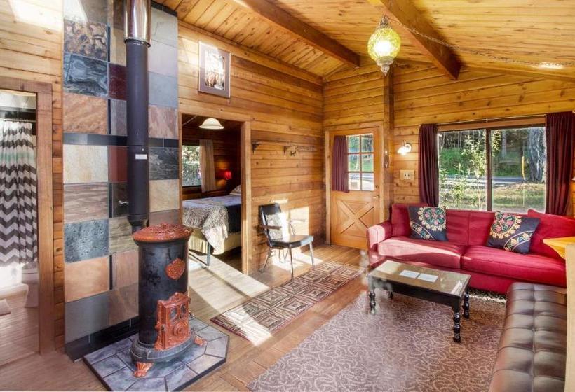 بنسيون Juniper Lane Guest House