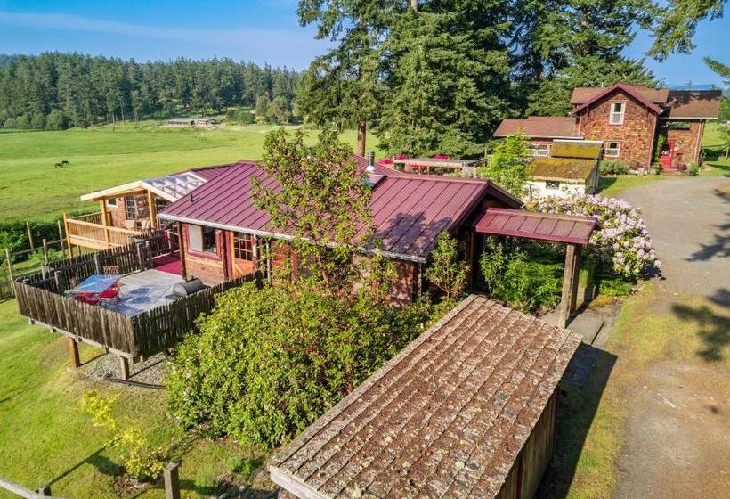 بنسيون Juniper Lane Guest House