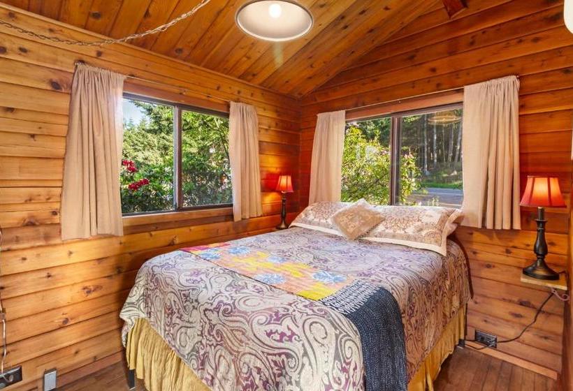 بنسيون Juniper Lane Guest House