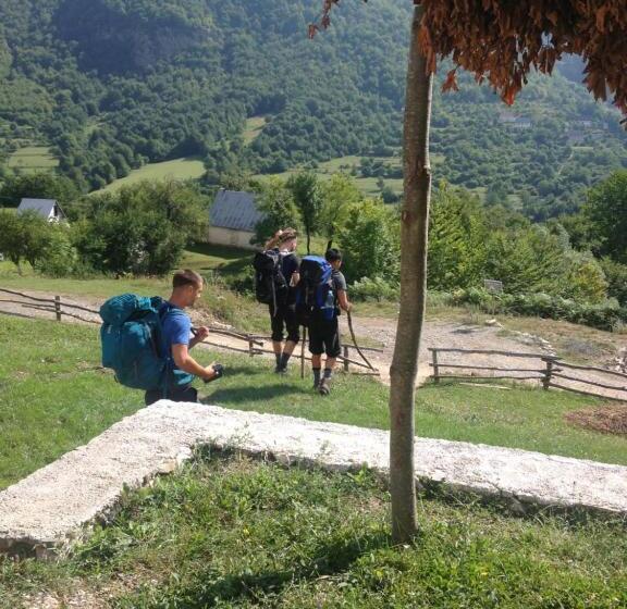 پانسیون Guest House Panorama