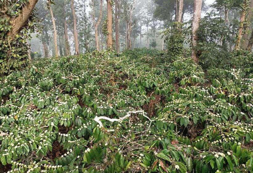 膳宿费 Coorg Kolamotte