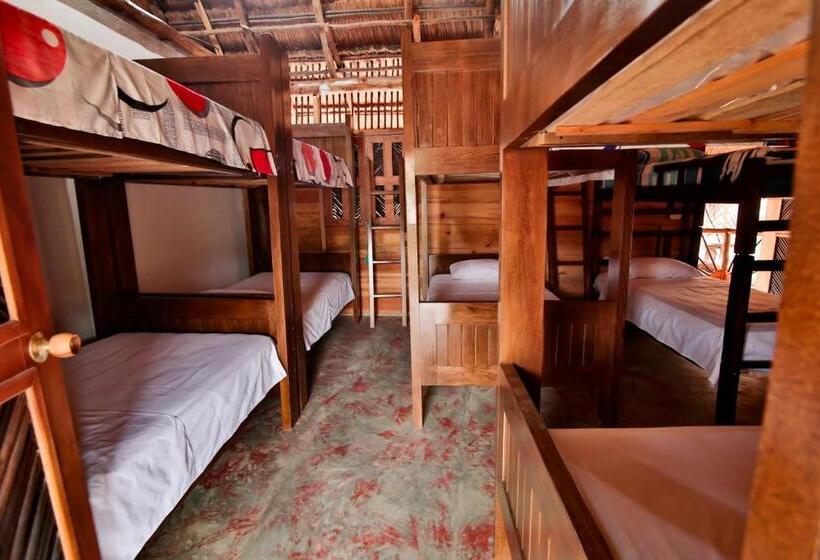 پانسیون Hostal Nibuni Palomino