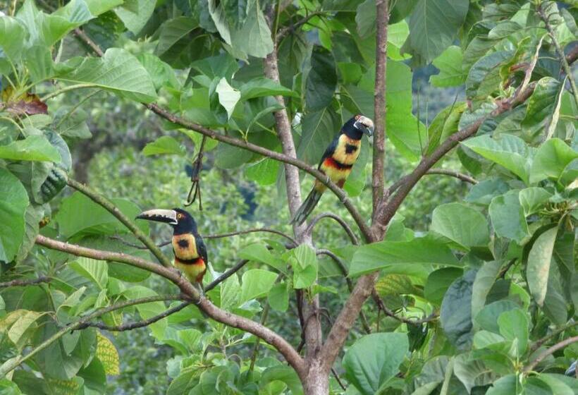 پانسیون Hostal Alto De La Montaña