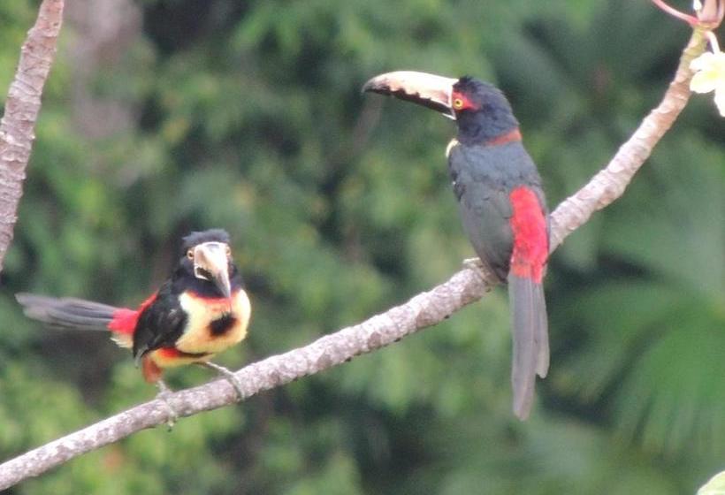 پانسیون Hostal Alto De La Montaña