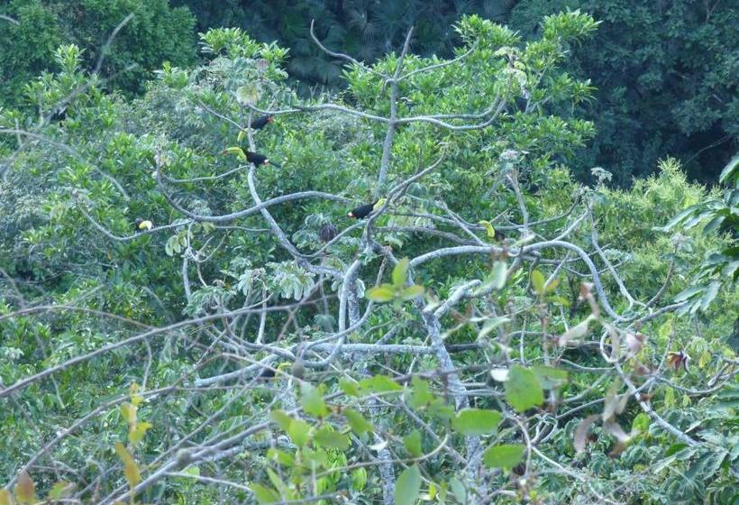 پانسیون Hostal Alto De La Montaña