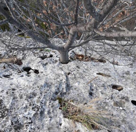 هتل Golemi Kamik Pirot