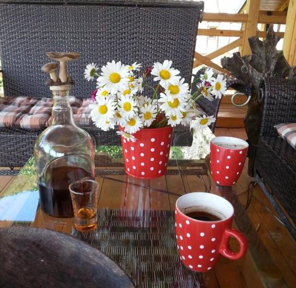 هتل Golemi Kamik Pirot