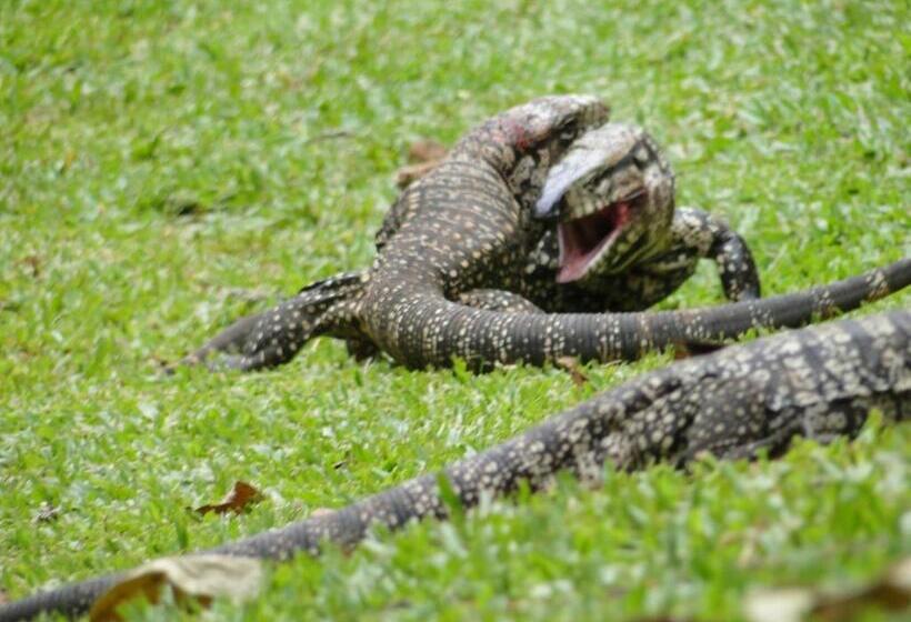 هتل Yasí Yateré Reserva Agroecológica