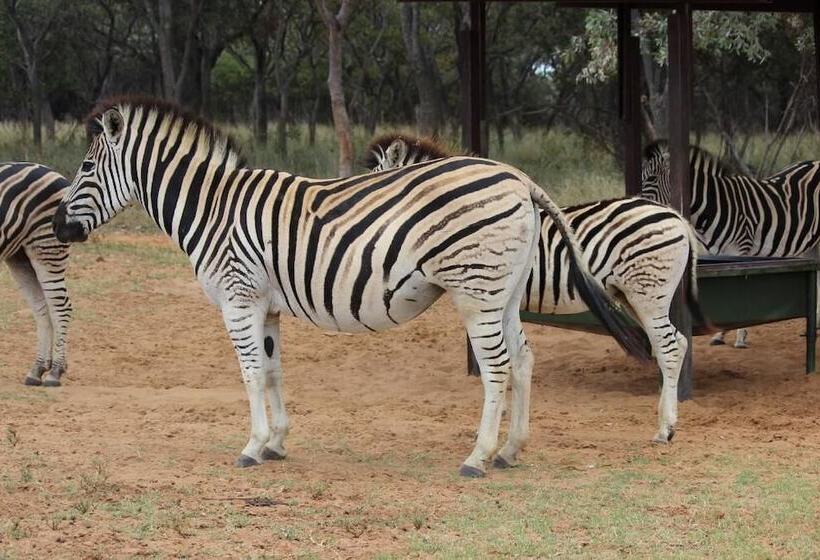بنسيون La Barune Game Lodge