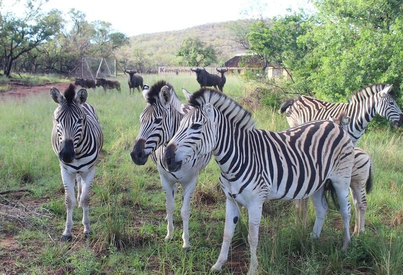 بنسيون La Barune Game Lodge